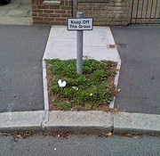 keep off the grass
